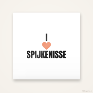 Tegeltje I love Spijkenisse