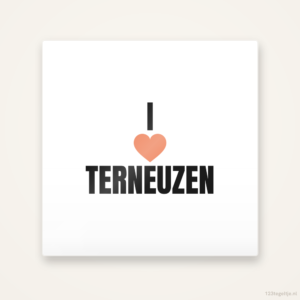 Tegeltje I love Terneuzen