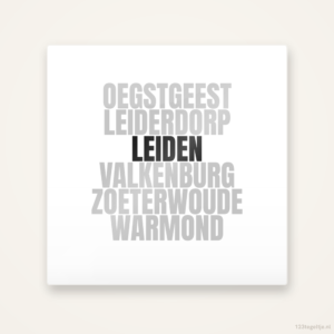 Tegeltje Leiden en omgeving