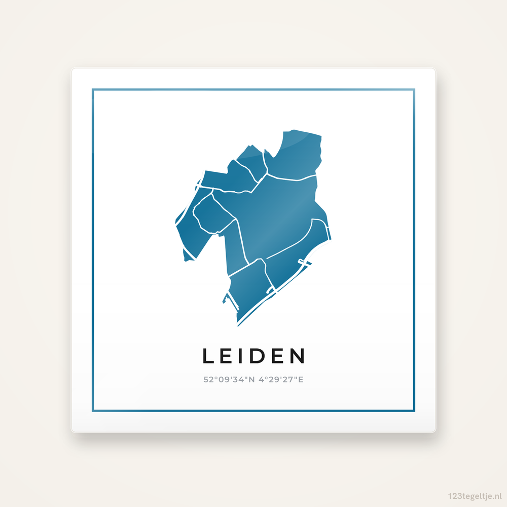 Tegeltje Leiden silhouet met kader