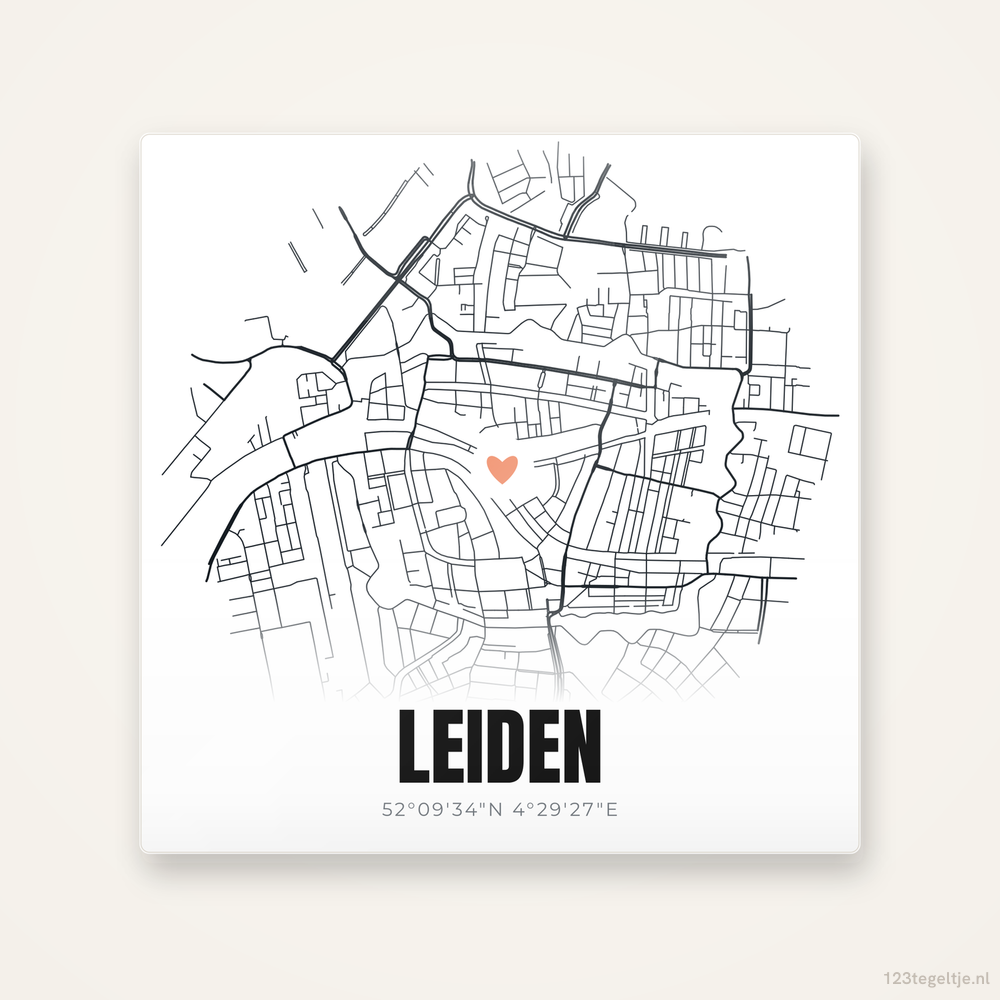 Tegeltje Leiden stadskaart
