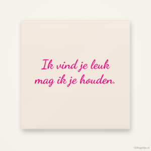 Ik vind je leuk mag ik je houden, keramisch tegeltje 15 bij 15 cm
