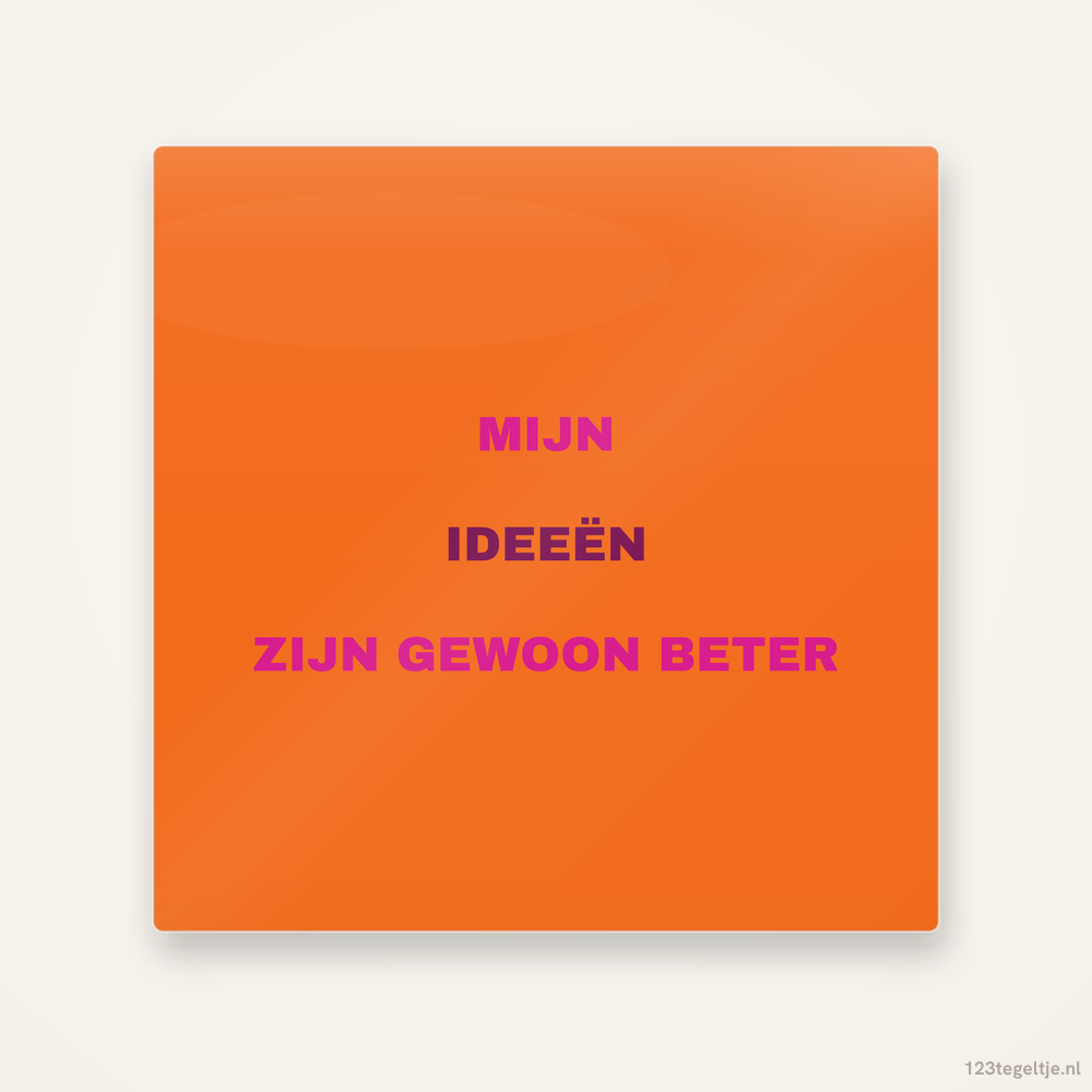 Mijn ideeen zijn gewoon beter, keramisch tegeltje 15 bij 15 cm