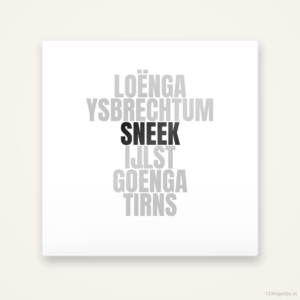 Tegeltje Sneek en omgeving