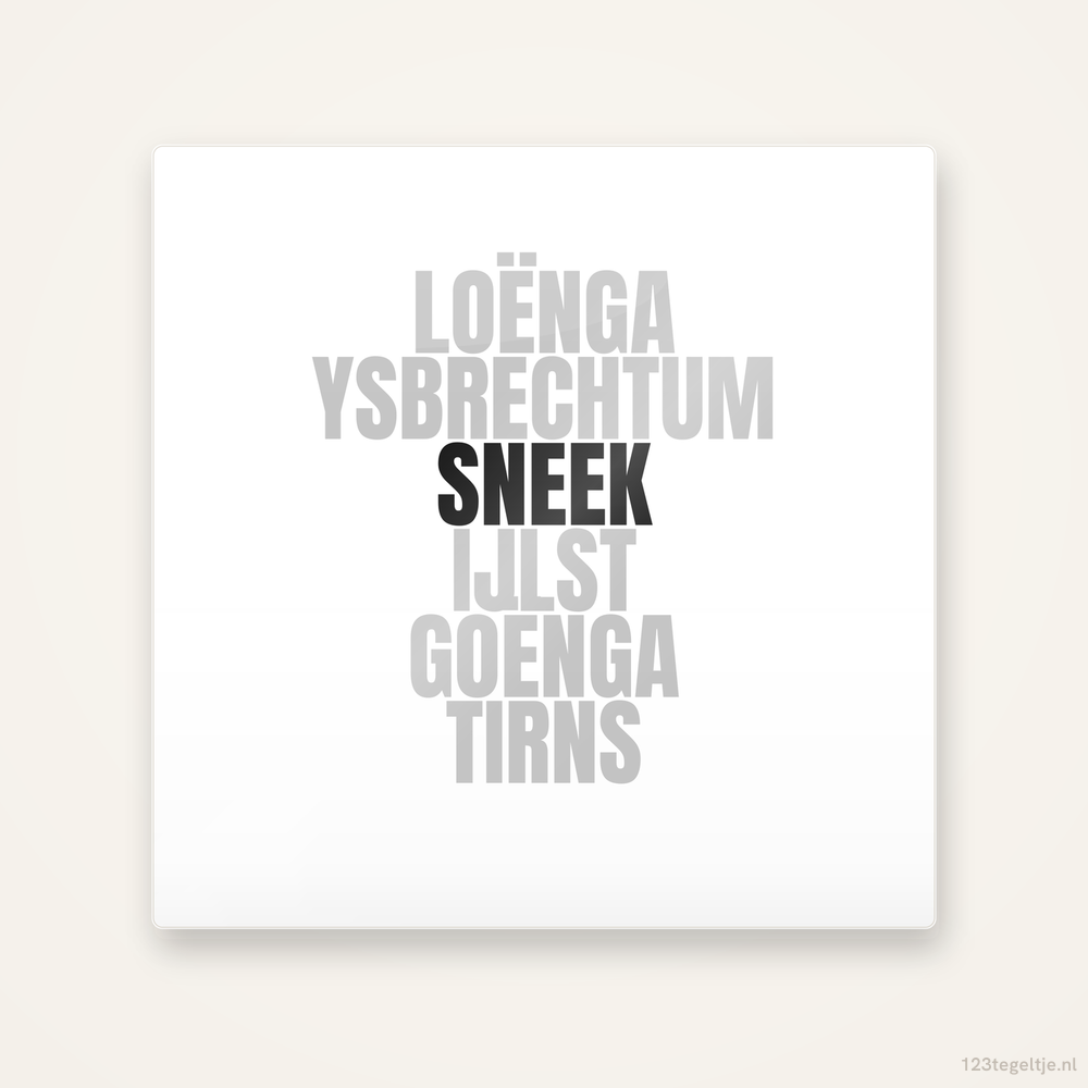 Tegeltje Sneek en omgeving