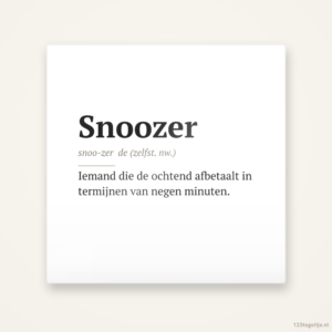 Snoozer Woordenboek, keramisch tegeltje 15 bij 15 cm