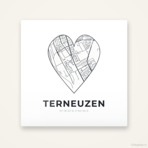 Tegeltje Terneuzen stadskaart hart